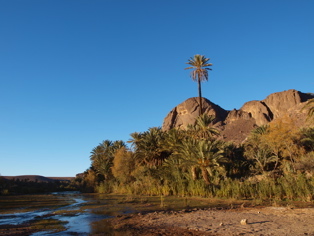 Sud marocain